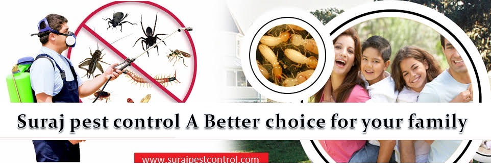 Suraj pest control pvt ltd